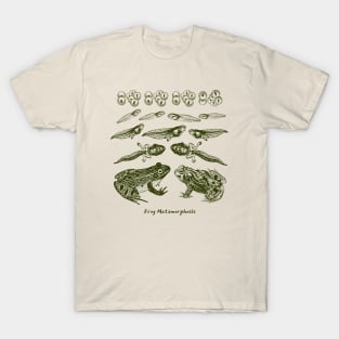 Frog Metamorphosis, From Tadpole to Frog T-Shirt